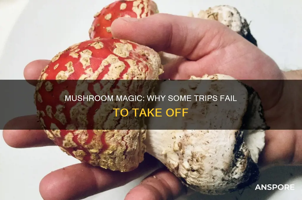is it possible for mushrooms not to work