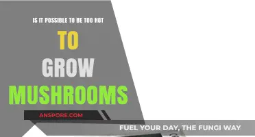 Can Extreme Heat Halt Mushroom Growth? Exploring Optimal Conditions
