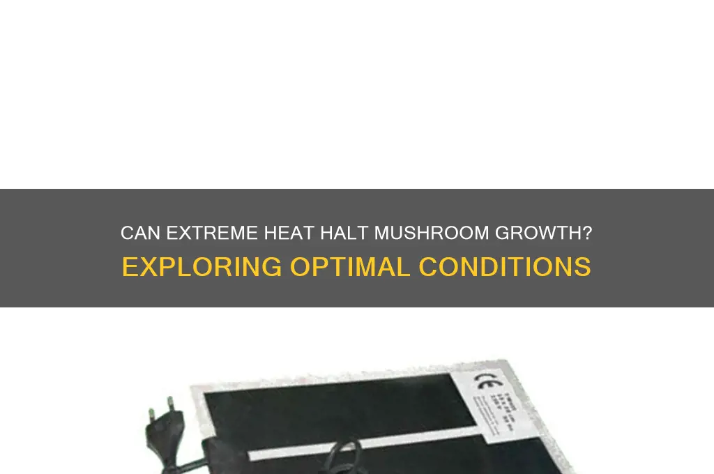 is it possible to be too hot to grow mushrooms