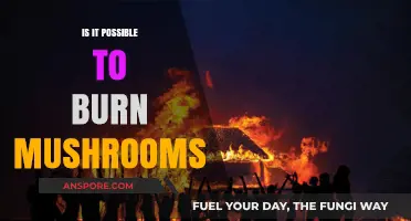 Can You Burn Mushrooms? Exploring Combustion and Fungal Properties