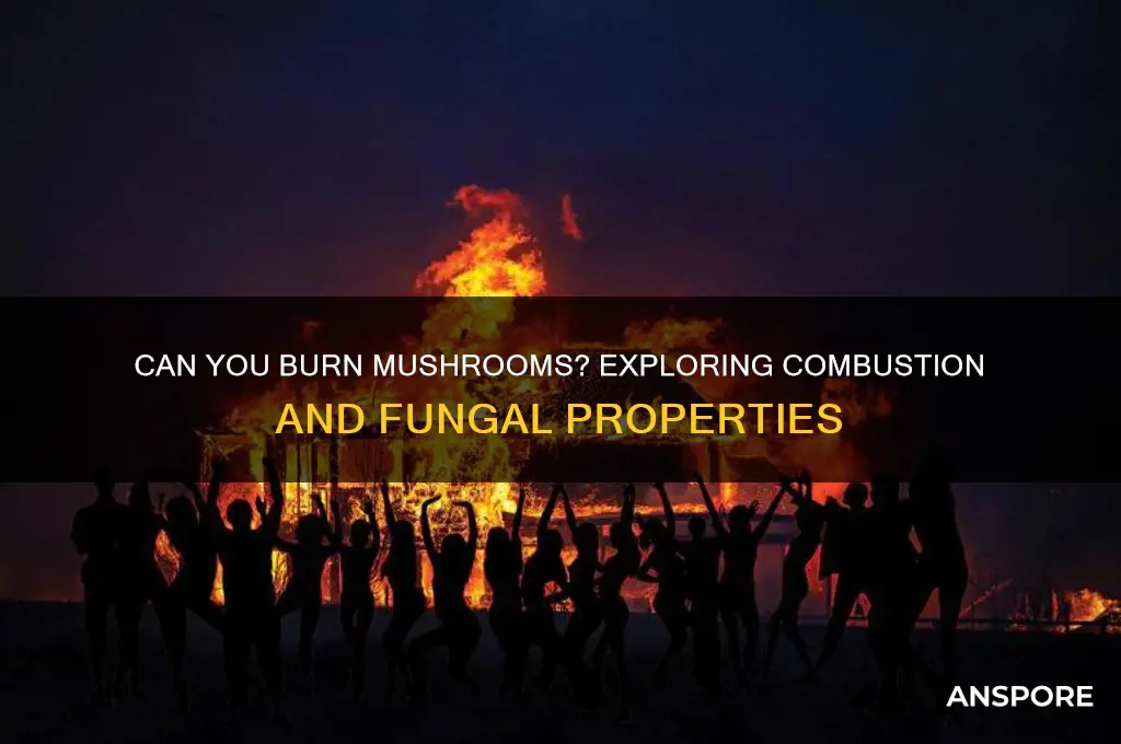 is it possible to burn mushrooms