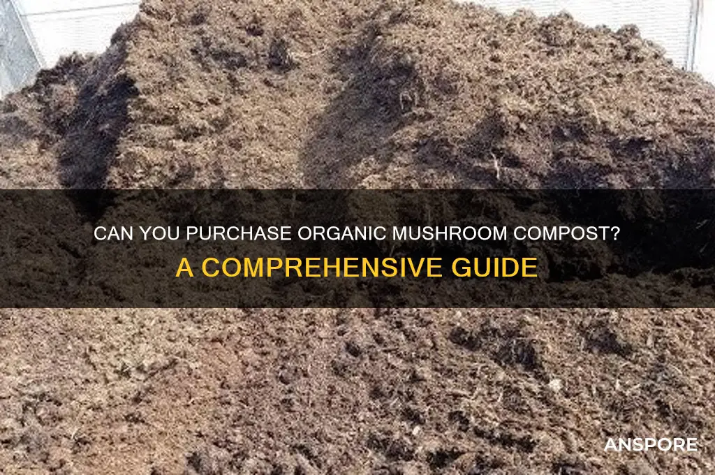 is it possible to buy organic mushroom compost