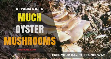 Can You Overindulge in Oyster Mushrooms? Exploring Safe Consumption Limits