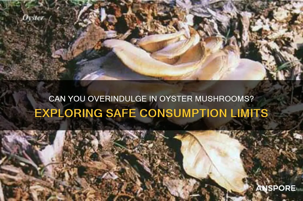 is it possible to eat too much oyster mushrooms