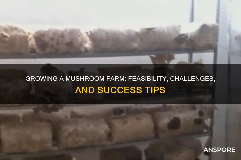 is it possible to grow a mushroom farm
