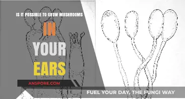 Can Mushrooms Grow in Your Ears? Unraveling the Myth and Facts