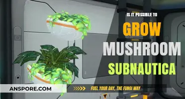 Growing Mushrooms in Subnautica: Myth or Feasible Survival Strategy?