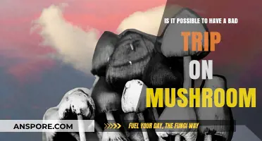 Can Mushrooms Cause Bad Trips? Exploring Risks and Realities