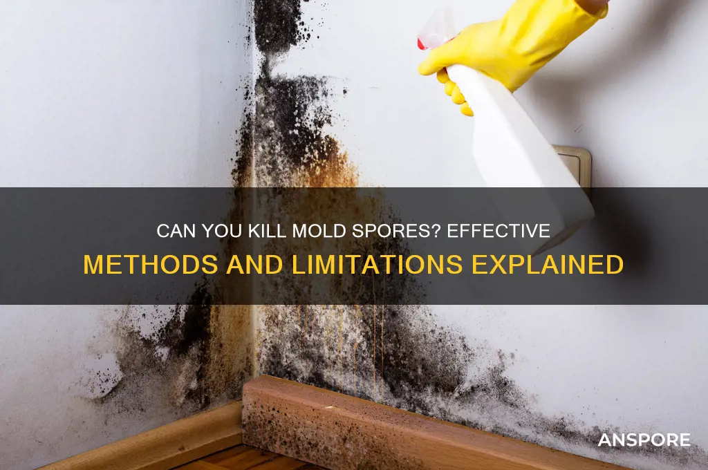 is it possible to kill mold spores
