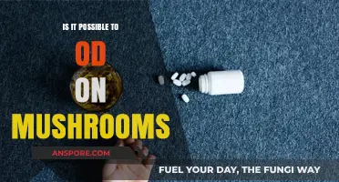 Can You Overdose on Magic Mushrooms? Risks and Realities Explained