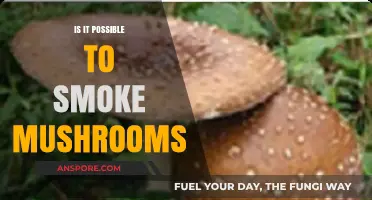 Can You Smoke Mushrooms? Exploring the Risks and Alternatives