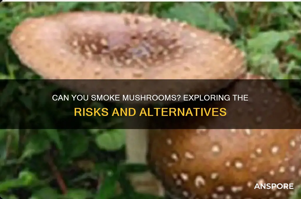 is it possible to smoke mushrooms