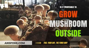 Outdoor Mushroom Farming: Profitable Venture or Risky Investment?