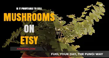 Profitable Mushroom Sales on Etsy: A Viable Business Idea?