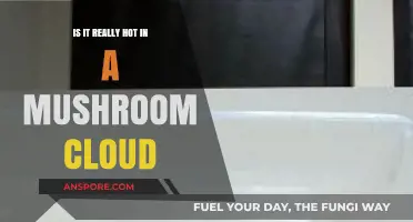 Unveiling the Heat: Exploring Temperatures Inside a Mushroom Cloud