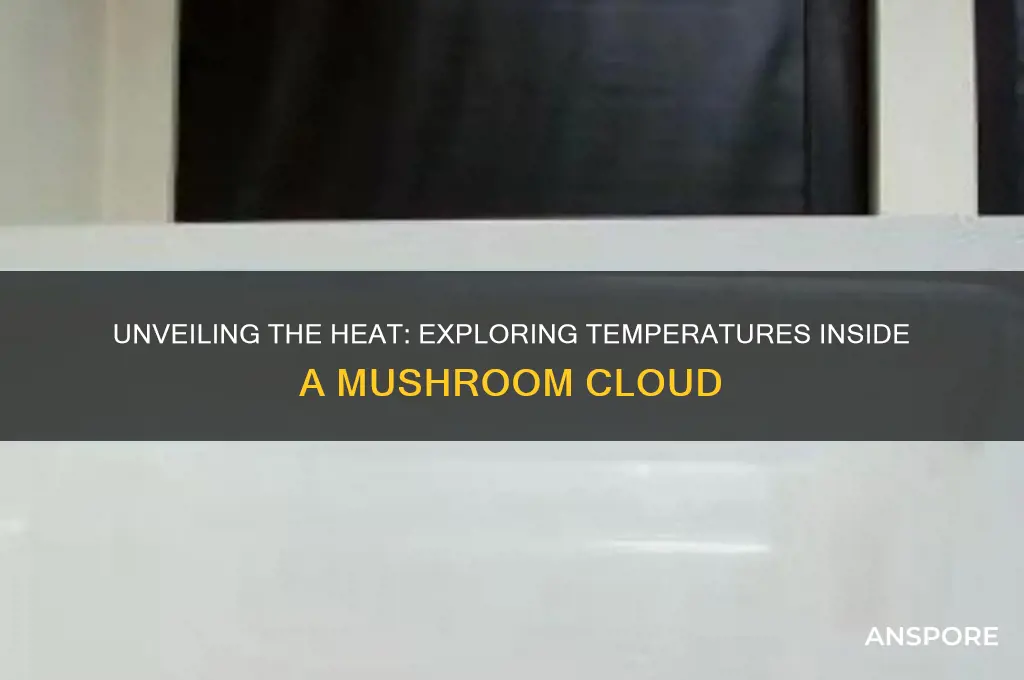 is it really hot in a mushroom cloud