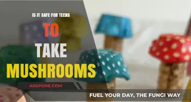 Mushrooms and Teens: Uncovering the Risks and Safety Concerns