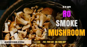 Is Smoking Mushrooms Safe? Exploring Risks and Health Concerns