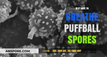 Breathing Puffball Spores: Safe or Health Hazard? Expert Insights