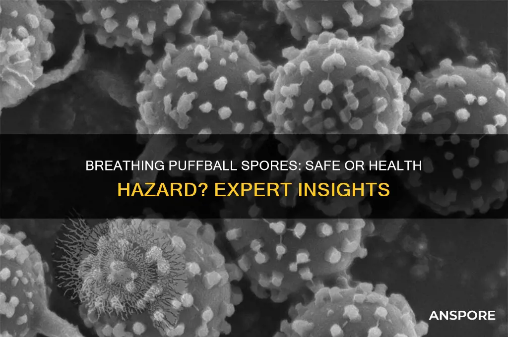 is it safe to breathe puffball spores