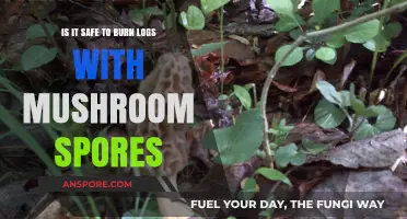 Burning Logs with Mushroom Spores: Safety Concerns and Precautions