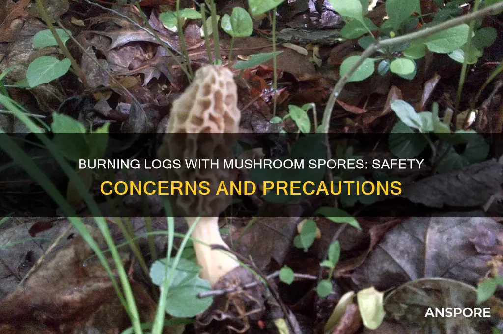 is it safe to burn logs with mushroom spores
