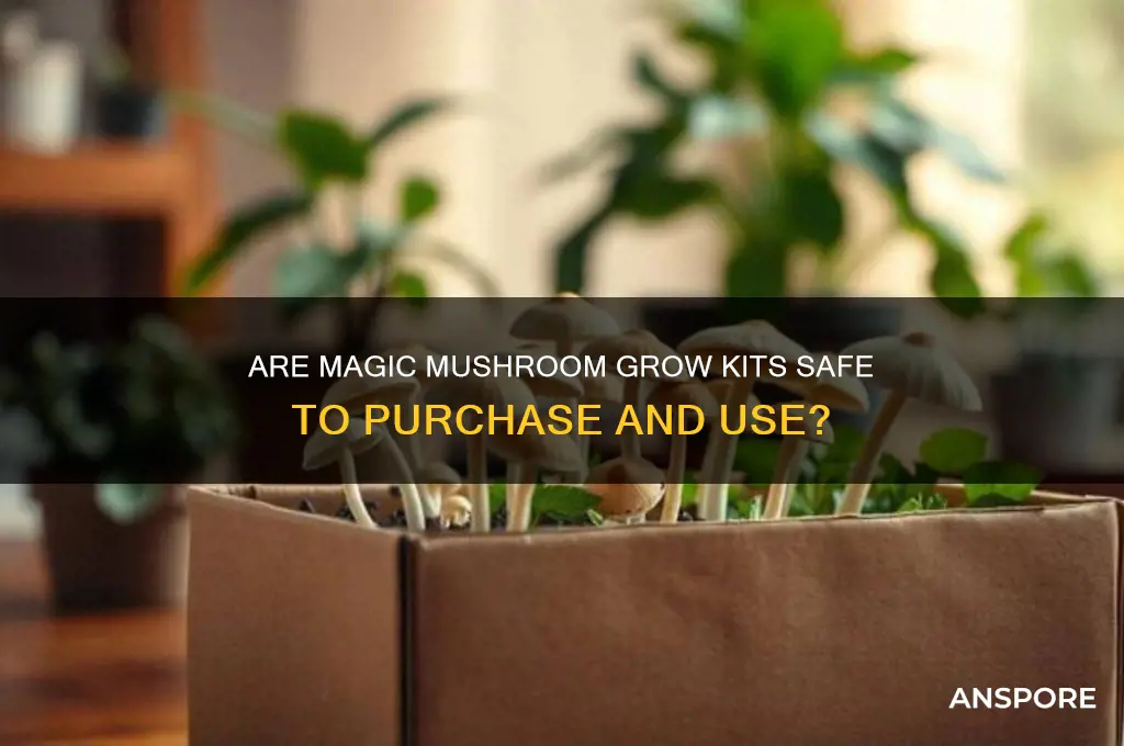 is it safe to buy magic mushroom grow kits