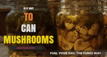Canning Mushrooms: Safety Tips and Best Practices for Preservation
