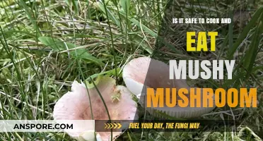 Mushy Mushrooms: Safe to Cook and Eat or Toss?