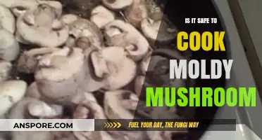 Cooking Moldy Mushrooms: Risks, Safety Tips, and Health Concerns