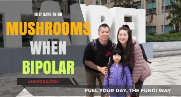 Mushrooms and Bipolar Disorder: Exploring Safety Concerns and Risks