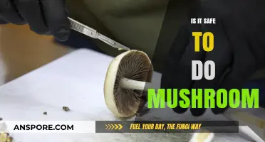 Exploring Psilocybin: Safety, Risks, and Responsible Mushroom Use