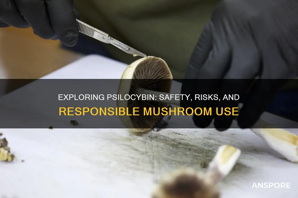 is it safe to do mushrooms