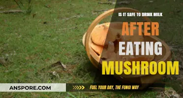 Mushrooms and Milk: Safe Combination or Risky Food Pairing?