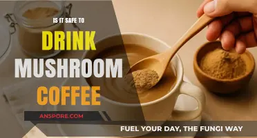 Mushroom Coffee Safety: Benefits, Risks, and What You Need to Know