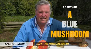 Is Eating a Blue Mushroom Safe? Risks and Facts Explained