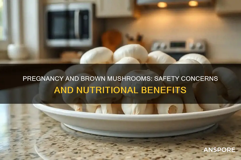 is it safe to eat brown mushroom for pregnant woman