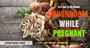 Pregnancy and Canned Mushrooms: Safety Concerns and Nutritional Advice