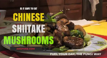 Are Chinese Shiitake Mushrooms Safe to Eat? Facts Revealed