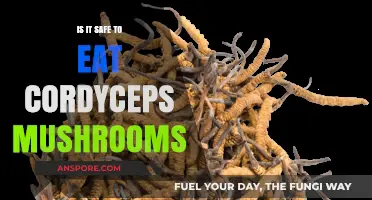 Are Cordyceps Mushrooms Safe to Eat? Benefits and Risks Explained