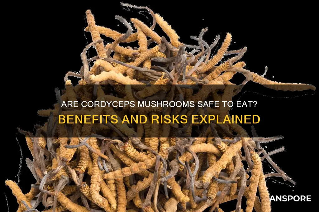 is it safe to eat cordyceps mushrooms