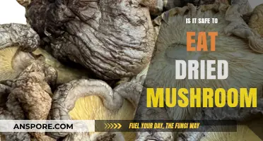 Are Dried Mushrooms Safe to Eat? A Comprehensive Guide
