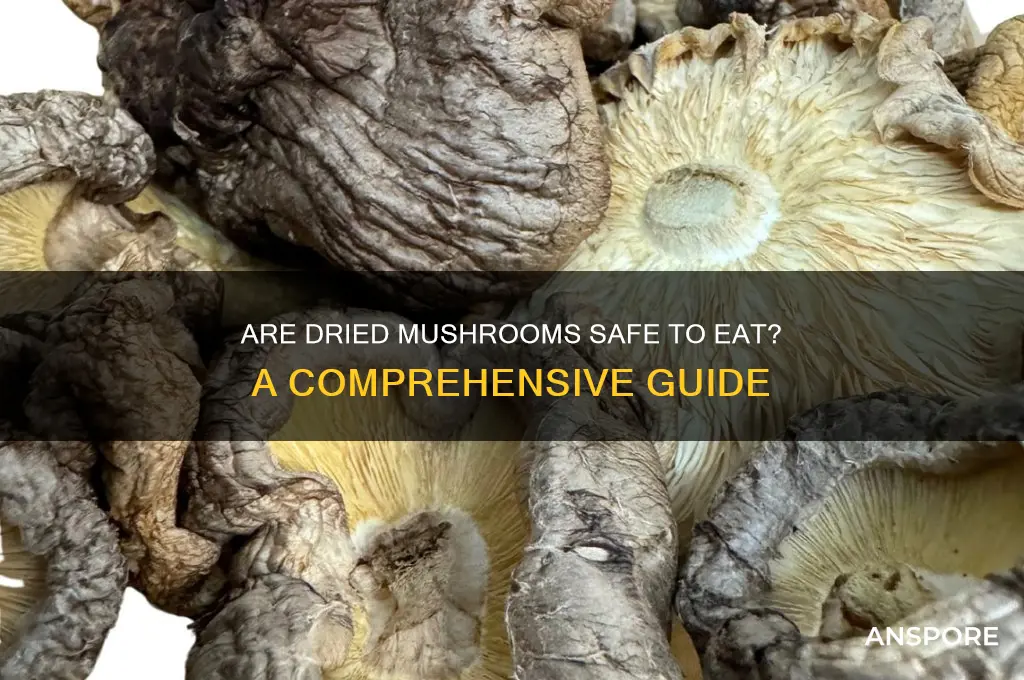 is it safe to eat dried mushrooms