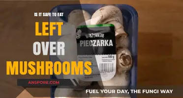 Are Leftover Mushrooms Safe to Eat? A Complete Guide
