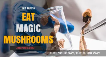 Are Magic Mushrooms Safe to Eat? Risks and Benefits Explained