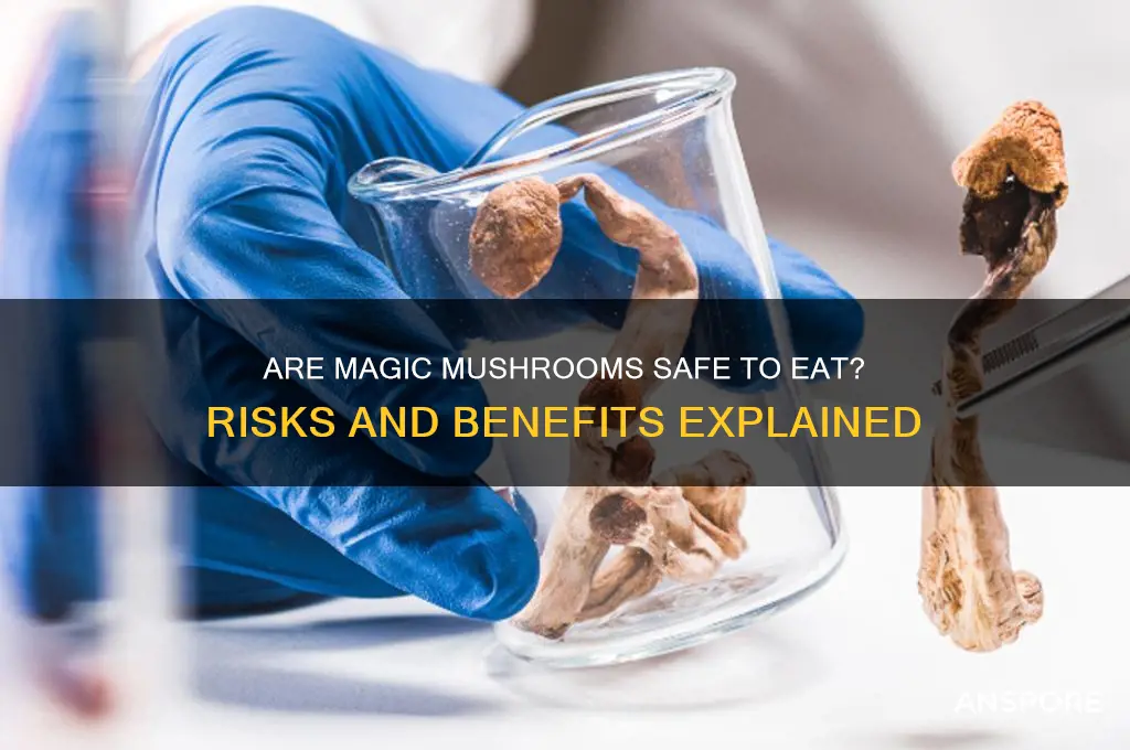 is it safe to eat magic mushrooms
