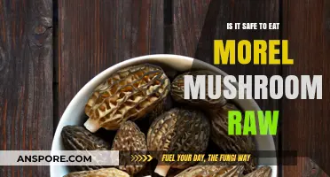 Raw Morel Mushrooms: Safe to Eat or Risky Choice?