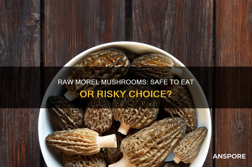is it safe to eat morel mushrooms raw