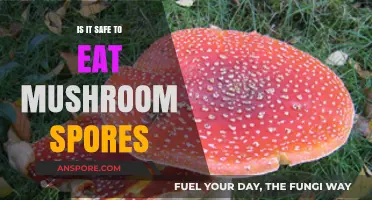 Are Mushroom Spores Safe to Eat? Facts and Risks Explained