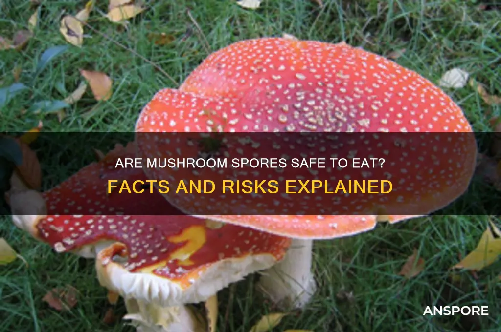 is it safe to eat mushroom spores